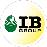 IB Group
